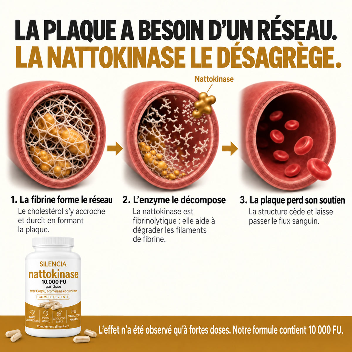 Nattokinase 10 000 · Retrouvez la pleine forme au lit, une différence dès 7 jours